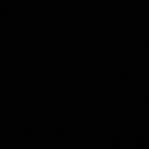 Meet your Posher, Diego